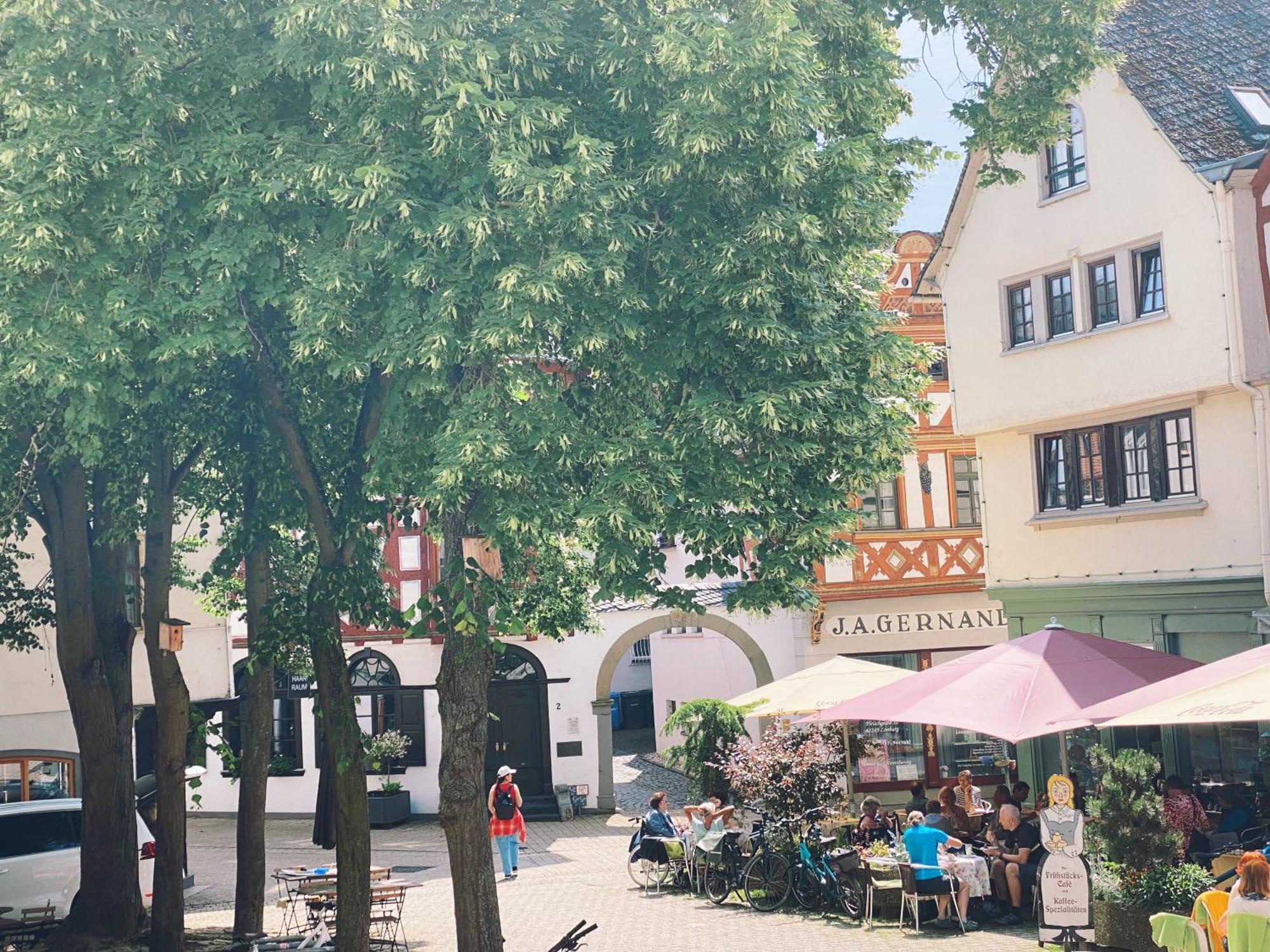 Altstadtwohnung Fleischgasse 拉恩河畔林堡 外观 照片